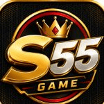 s55 game