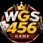 WGS 456 Game